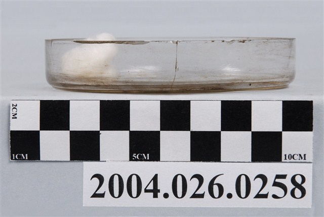 玻璃培養皿 (共5張)