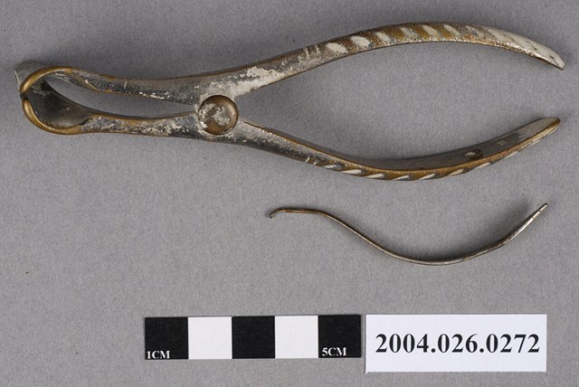 耳鼻喉科鼻鏡 (共4張)