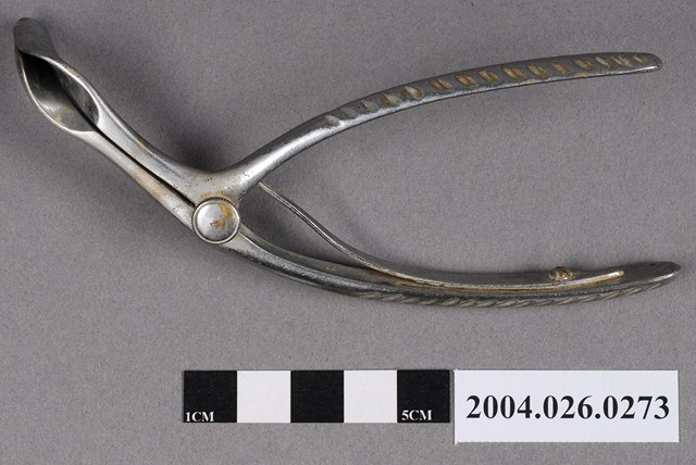 耳鼻喉科鼻鏡 (共4張)