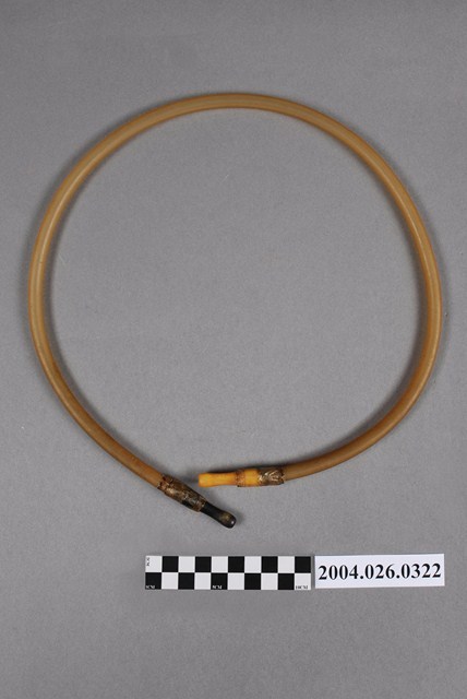 診療工具管子 (共4張)