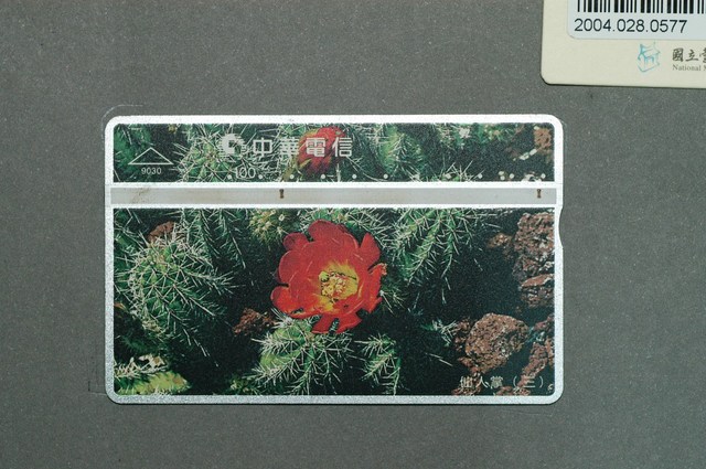 中華電信9030仙人掌三電話卡 (共2張)