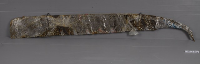 五齒鉤鋸 (共2張)