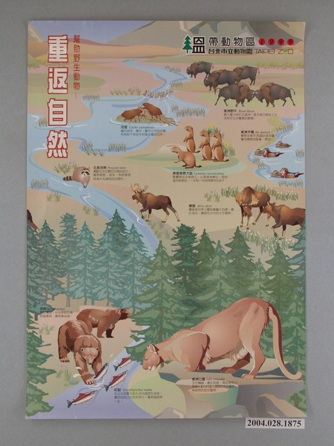 1999溫帶動物區：幫助野生動物重返自然海報 (共1張)