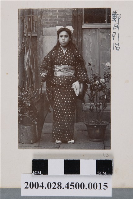 鄭氏引治獨照 (共2張)