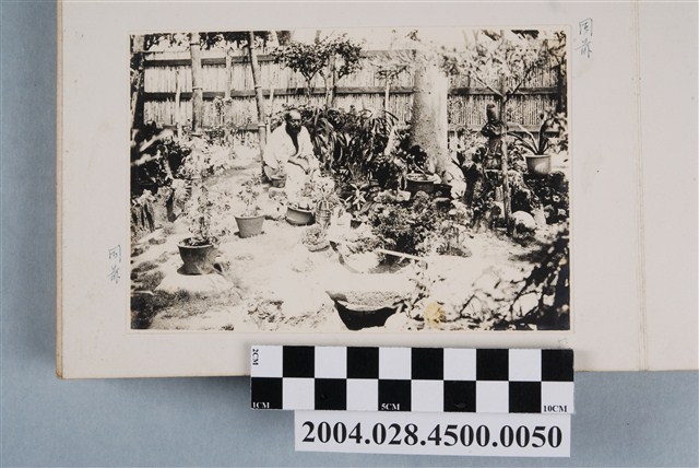 大正12年一名男子於新化公學校校長宿舍庭園照 (共2張)