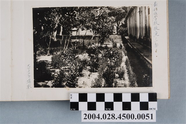 大正12年新化公學校校園一景照 (共2張)