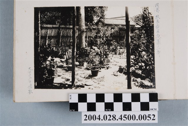 大正12年新化公學校校長宿舍庭園一景照 (共2張)