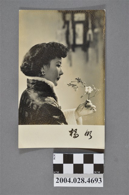 橋明照片 (共2張)