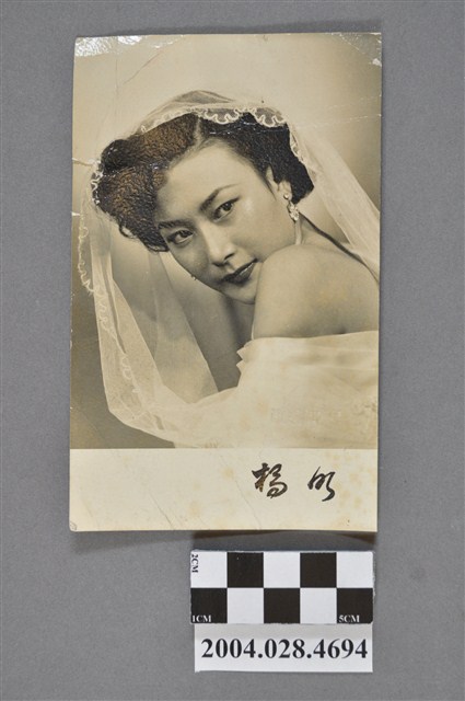 橋明照片 (共2張)