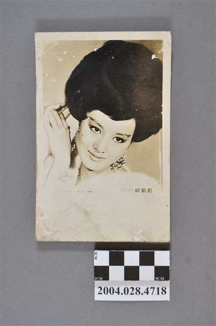 何莉莉照片 (共2張)