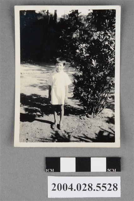 小孩與植物合影 (共2張)