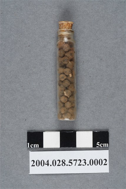 正長生化學製藥正長生沙氣丸 (共4張)