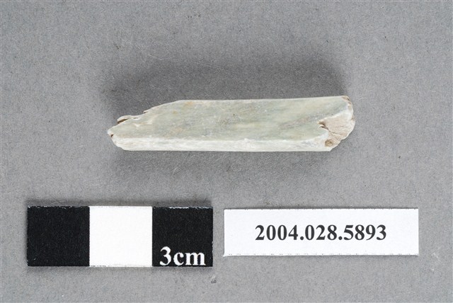 花蓮支亞干遺址玉器加工廢料 (共4張)