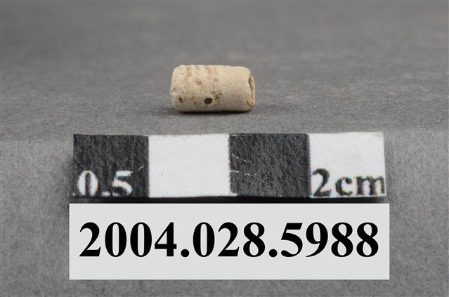 花蓮港口遺址貝管珠 (共3張)