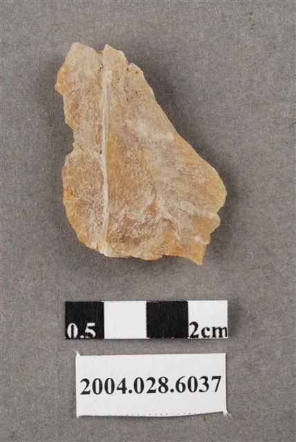 花蓮港口遺址凹刮器 (共4張)