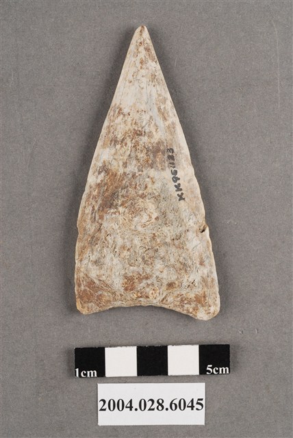 花蓮港口遺址磨製石鏃 (共4張)