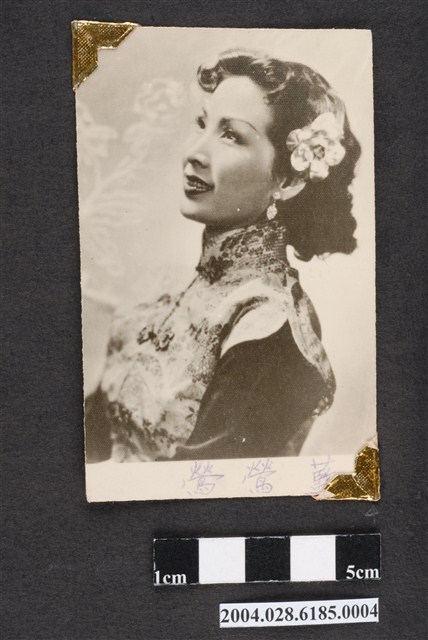 藍鶯鶯明星沙龍照 (共4張)