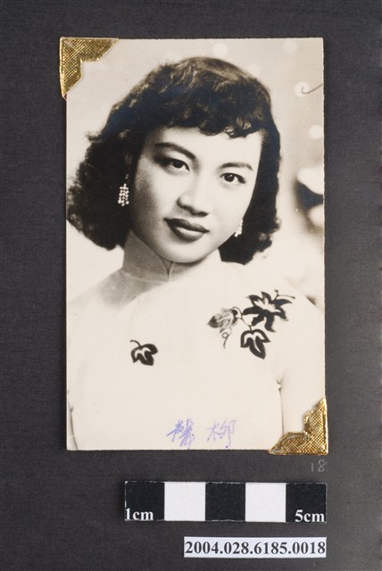 柳聲明星沙龍照 (共4張)