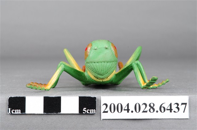 蝗蟲玩具 (共9張)