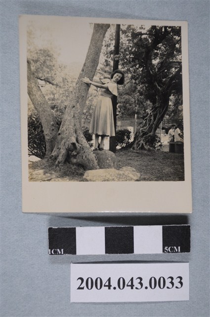 女子於樹旁獨照 (共2張)