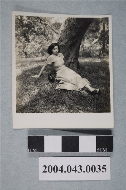 女子樹蔭下獨照 (共2張)