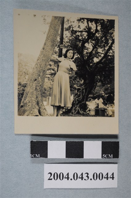 女子於樹旁獨照 (共2張)