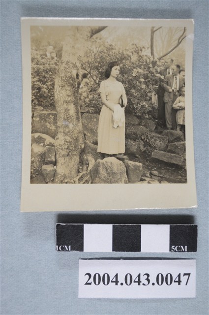 女子於樹旁獨照 (共2張)