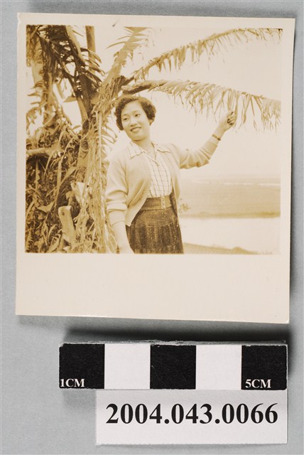 女子獨照 (共2張)