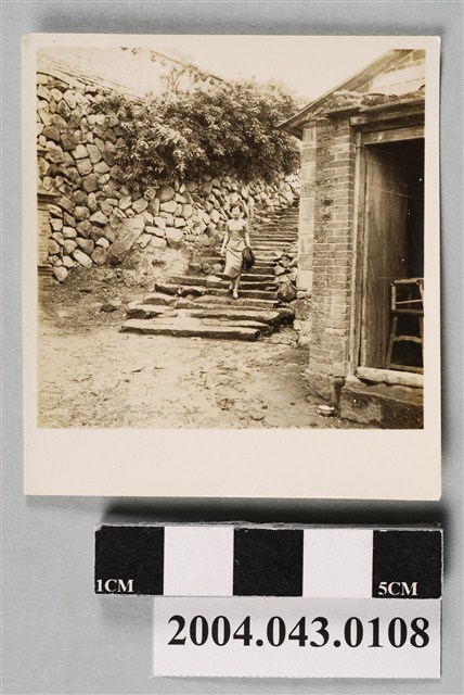 女子獨照 (共2張)