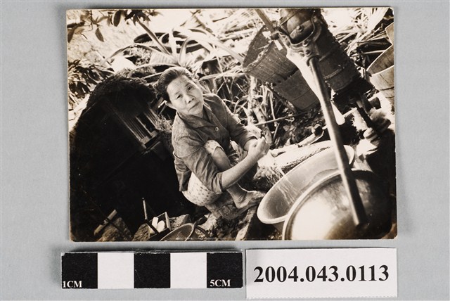 老年女子獨照 (共2張)