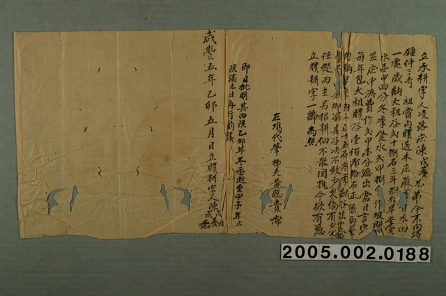 咸豐5年陳茂養等立承耕契字 (共1張)