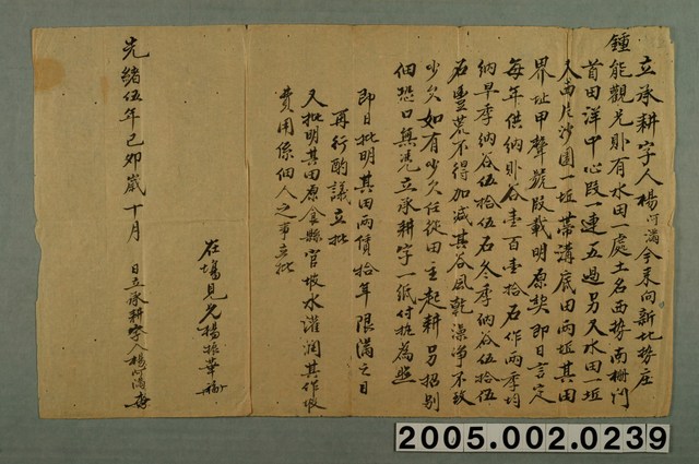 光緒5年楊阿滿立承耕契字 (共1張)