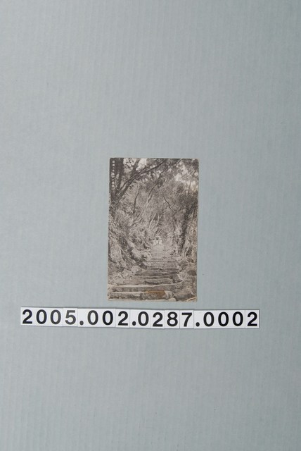 獅頭山山間小徑 (共3張)