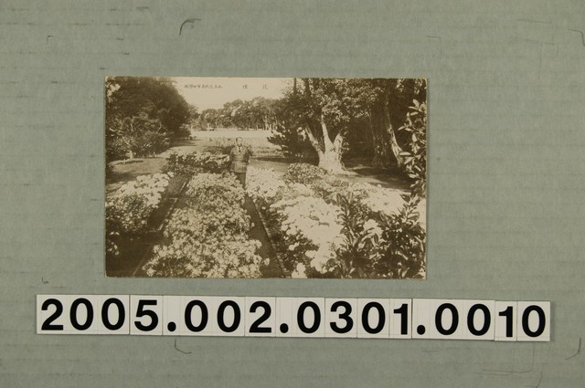 私立淡水高等女學校花壇 (共3張)