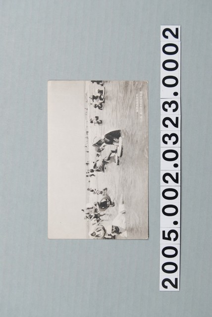 大安海水浴場前景其一 (共1張)
