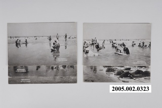 大安海水浴場 (共1張)