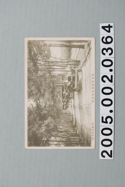 佐藤商店發行恆春鵝鑾鼻並木道路 (共3張)