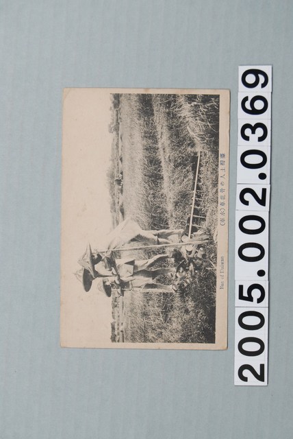 臺灣的龍骨車 (共3張)