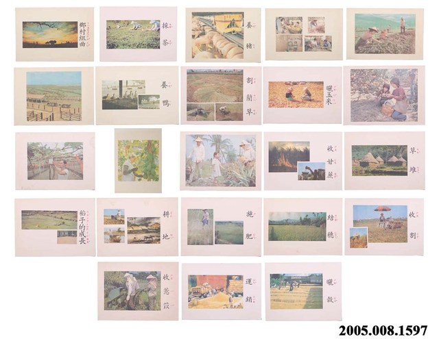 教具之教學圖卡一組 (共1張)