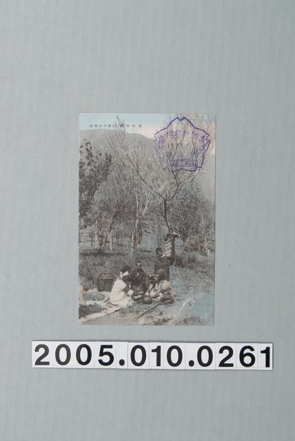 霧社名勝櫻花樹下演奏音樂 (共4張)