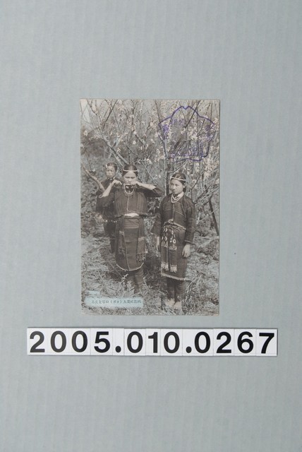 桃花美人 (共4張)