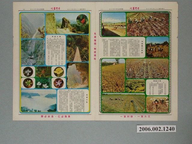 臺灣省政府新聞處發行《臺灣畫刊》第3版第4版 (共1張)