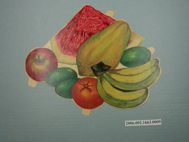 健康教育圖片第五類食物水果 (共2張)