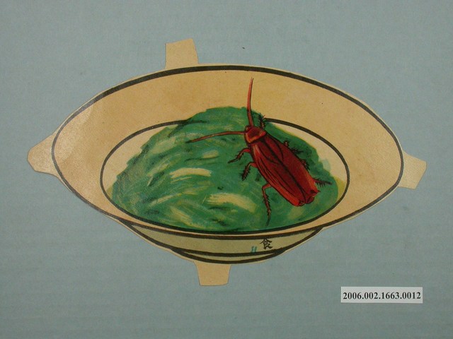 健康教育圖片蟑螂 (共1張)