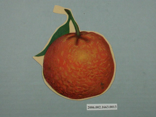 健康教育圖片桔子 (共1張)