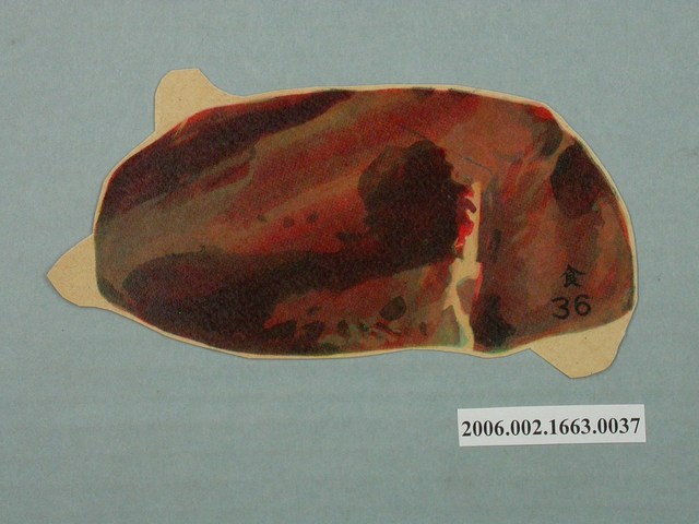 健康教育圖片豬血 (共1張)