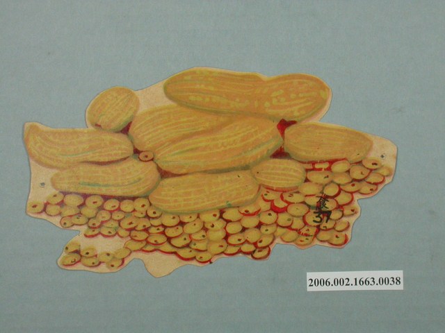 健康教育圖片大豆花生 (共1張)