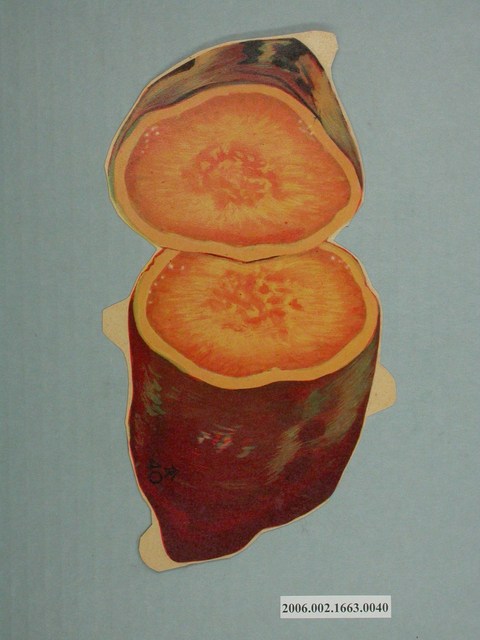 健康教育圖片紅心甘藷 (共2張)