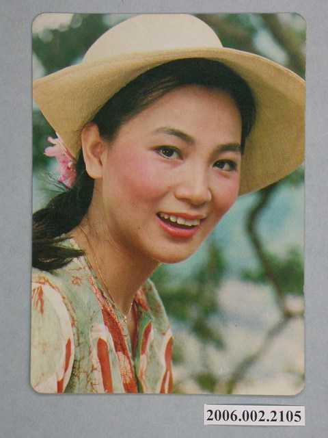 鳳飛飛明星照片 (共2張)