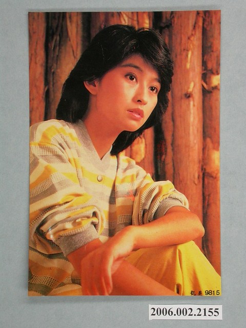 楊林明星照片小卡 (共1張)